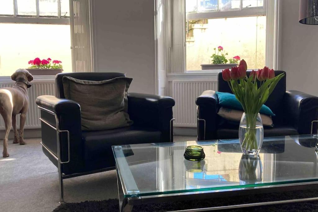 Regency Brighton Seafront Apartment Екстериор снимка
