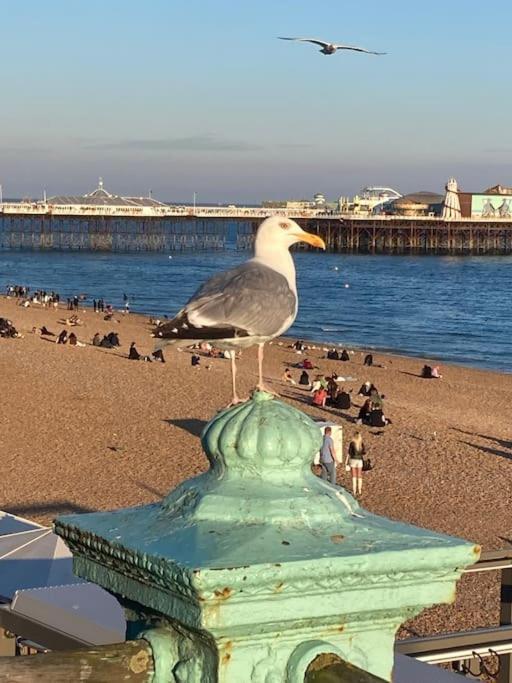 Regency Brighton Seafront Apartment Екстериор снимка